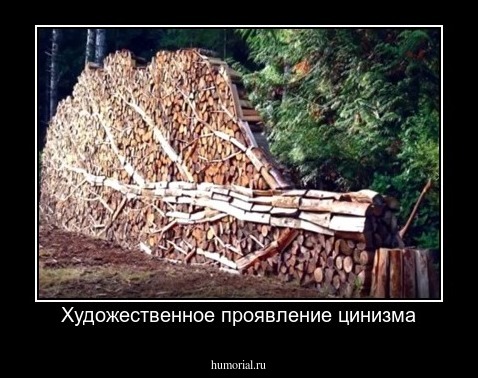 Художественное проявление цинизма