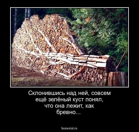 Склонившись над ней, совсем ещё зелёный куст понял, что она лежит, как бревно...
