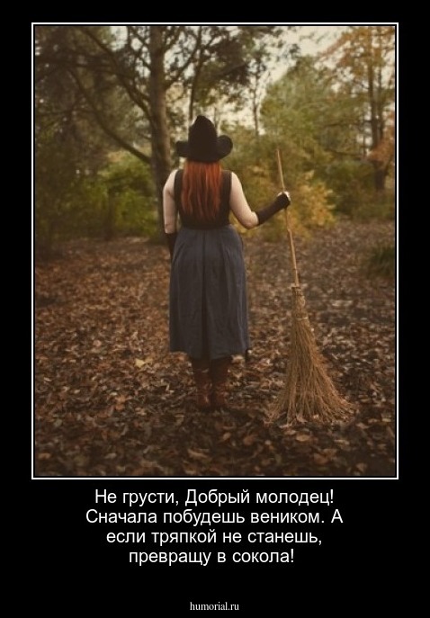 Не грусти, Добрый молодец! Сначала побудешь веником. А если тряпкой не станешь, превращу в сокола!