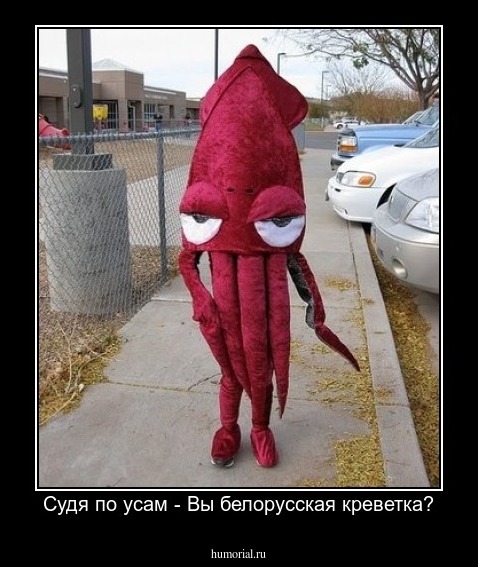 Судя по усам - Вы белорусская креветка?