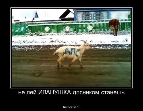 не пей ИВАНУШКА дпсником станешь