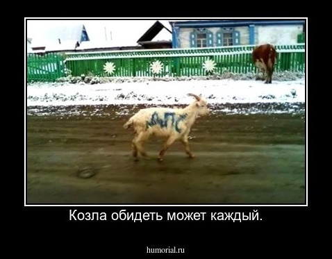 Козла обидеть может каждый.