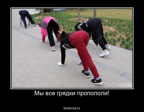 Мы все грядки пропололи!