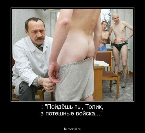 : "Пойдёшь ты, Толик, в потешные войска..."