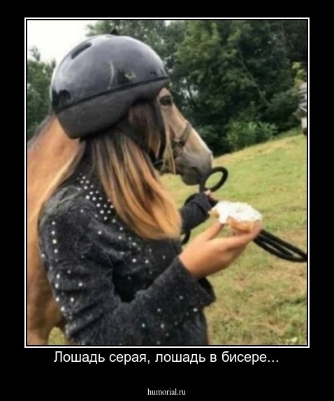 Лошадь серая, лошадь в бисере...