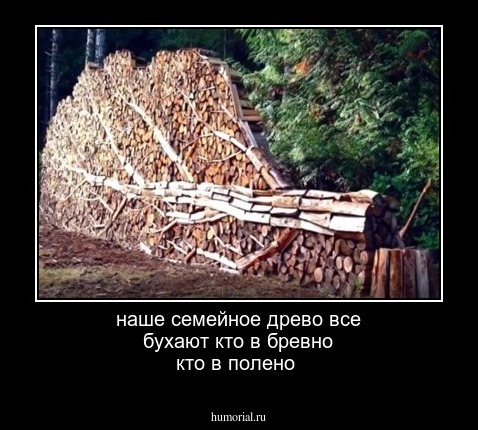 наше семейное древо все бухают кто в бревно кто в полено 