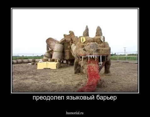 преодолел языковый барьер