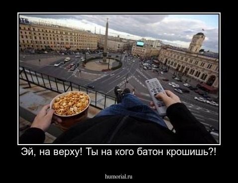 Эй, на верху! Ты на кого батон крошишь?!