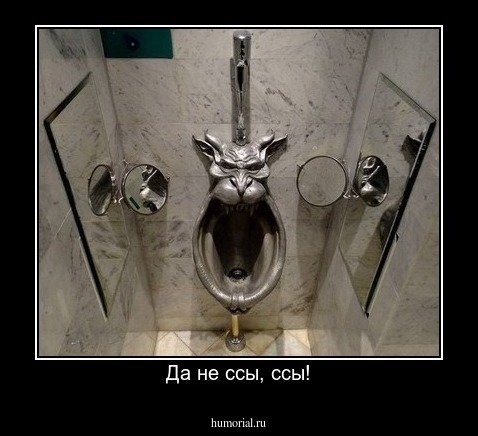 Да не ссы, ссы!