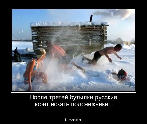 После третей бутылки русские любят искать подснежники...