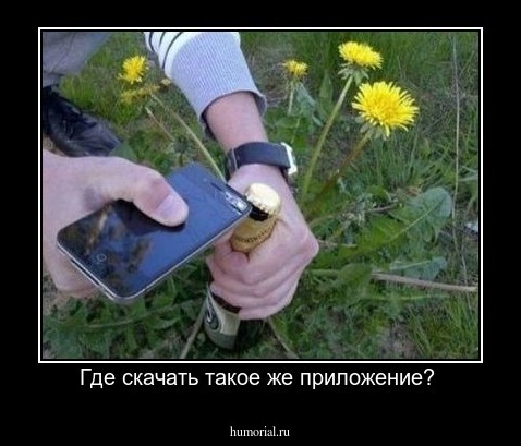 Где скачать такое же приложение? 