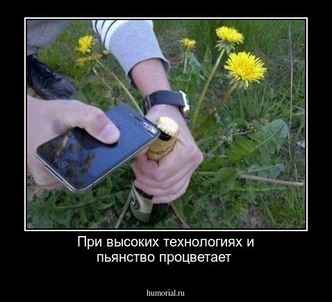 При высоких технологиях и пьянство процветает 