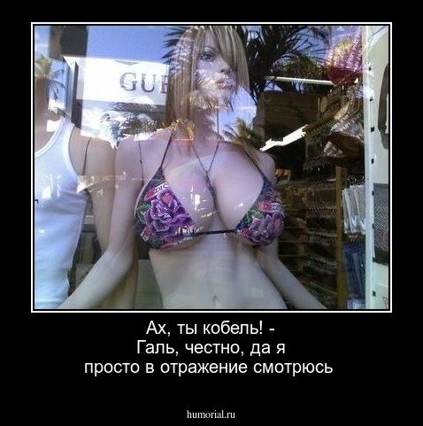 Ах, ты кобель! - Галь, честно, да я просто в отражение смотрюсь