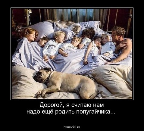 Дорогой, я считаю нам надо ещё родить попугайчика...