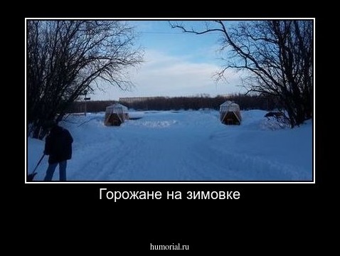 Горожане на зимовке
