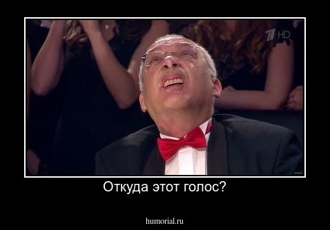 Откуда этот голос?