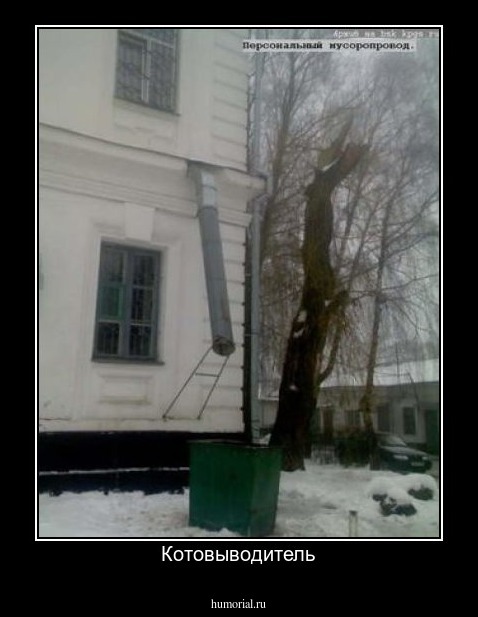 Котовыводитель