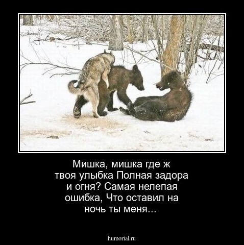 Мишка, мишка где ж твоя улыбка
Полная задора и огня? 
Самая нелепая ошибка, 
Что оставил на ночь ты меня...