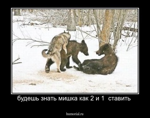 будешь знать мишка как 2 и 1  ставить 