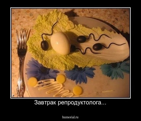 Завтрак репродуктолога...