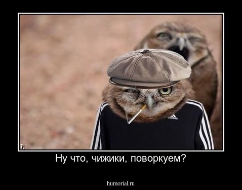 Ну что, чижики, поворкуем?