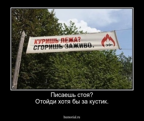Писаешь стоя?
Отойди хотя бы за кустик.