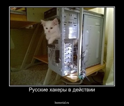 Русские хакеры в действии