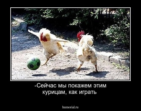 -Сейчас мы покажем этим курицам, как играть