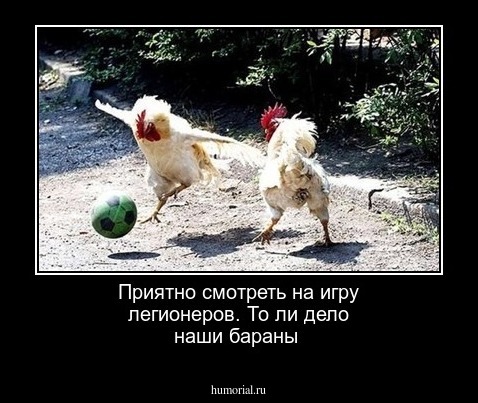 Приятно смотреть на игру легионеров. То ли дело наши бараны