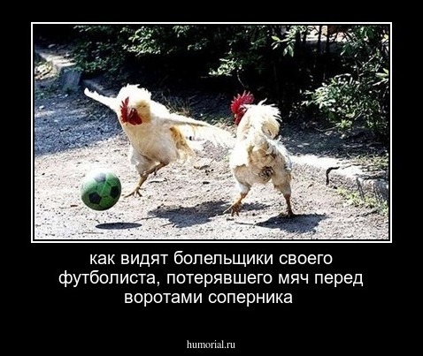 как видят болельщики своего футболиста, потерявшего мяч перед воротами соперника