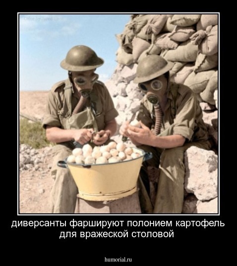 диверсанты фаршируют полонием картофель для вражеской столовой
