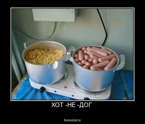 ХОТ -НЕ -ДОГ 