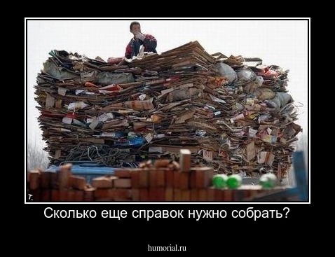 Сколько еще справок нужно собрать?