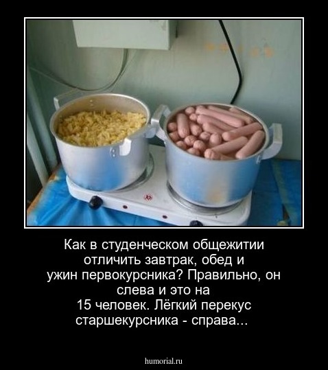 Как в студенческом общежитии отличить завтрак, обед и ужин первокурсника? Правильно, он слева и это на 15 человек. Лёгкий перекус старшекурсника - справа...