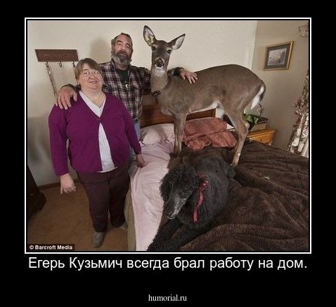 Егерь Кузьмич всегда брал работу на дом.