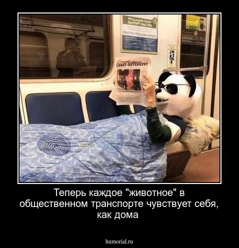 Теперь каждое "животное" в общественном транспорте чувствует себя, как дома