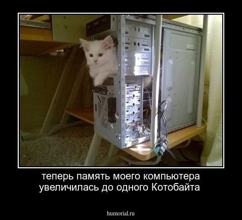 теперь память моего компьютера увеличилась до одного Котобайта