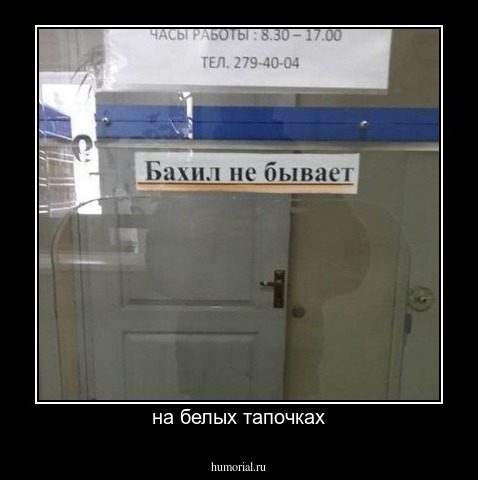на белых тапочках