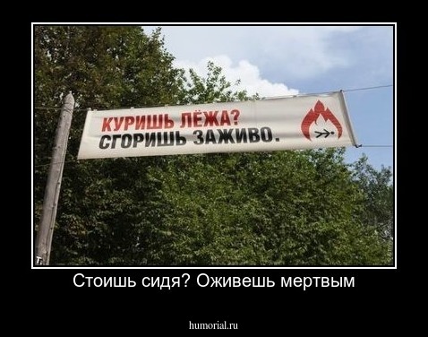 Стоишь сидя? Оживешь мертвым
