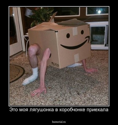 Это моя лягушонка в коробчонке приехала