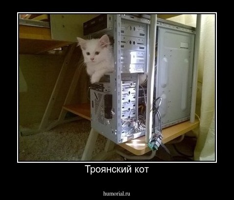Троянский кот