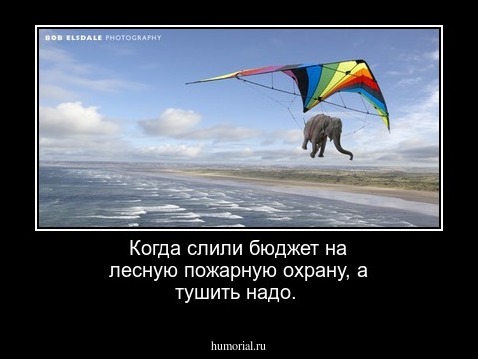 Когда слили бюджет на лесную пожарную охрану, а тушить надо.