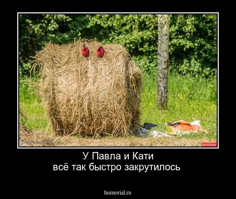 У Павла и Кати всё так быстро закрутилось