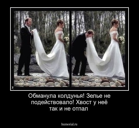Обманула колдунья! Зелье не подействовало! Хвост у неё так и не отпал