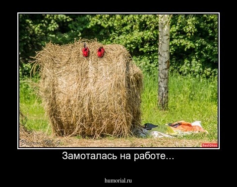 Замоталась на работе...