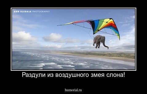 Раздули из воздушного змея слона!