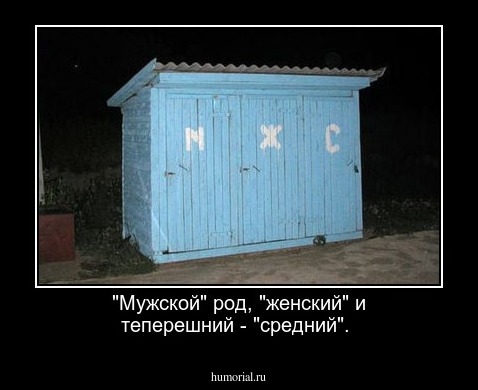 "Мужской" род, "женский" и теперешний - "средний".