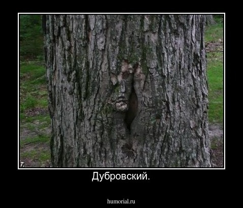 Дубровский.