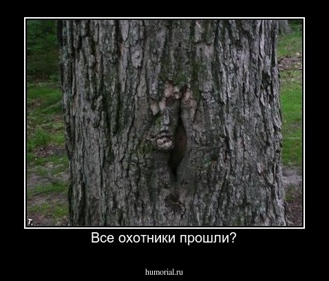 Все охотники прошли?