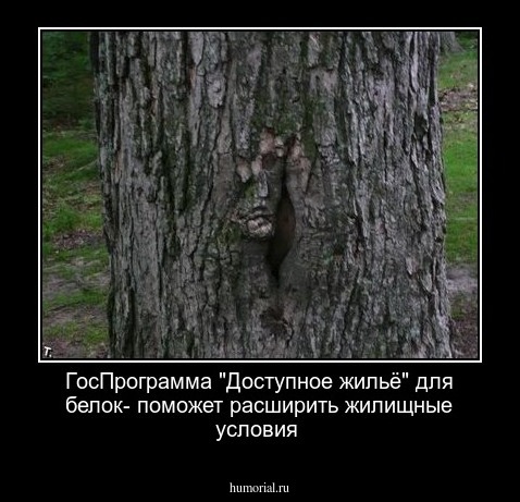 ГосПрограмма  "Доступное жильё" для белок- поможет расширить жилищные условия